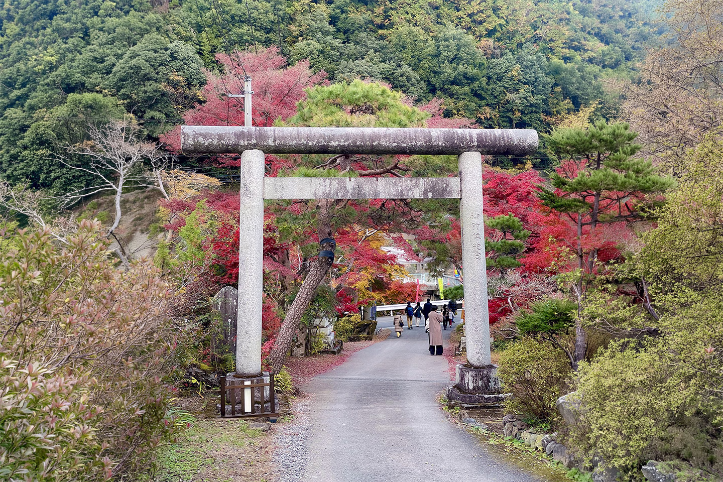 Day 1 - Torii